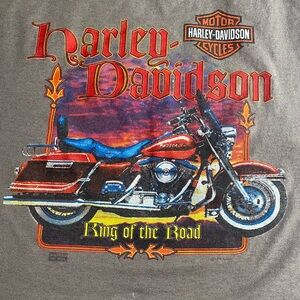 Vintage Harley Davidson shirt